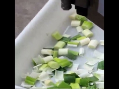 Adjustable Fruit Dicing Machine Onion Ginger Tomato Vegetable Cutting Machines