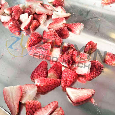 식품 과일 및 채소 조각 냉동 건조 기계 진공 냉동 건조 장비