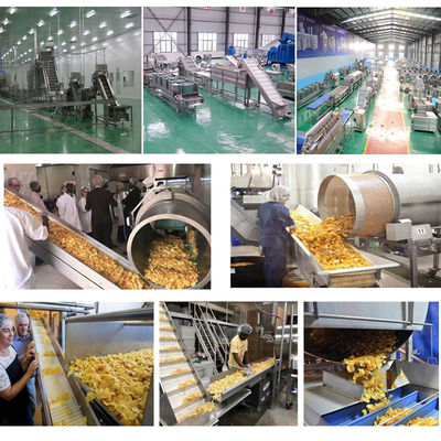 10m*2m*2m 및 프렌치 프라이를 위한 커스터마이즈 가능한 냉동 프라이 생산 라인